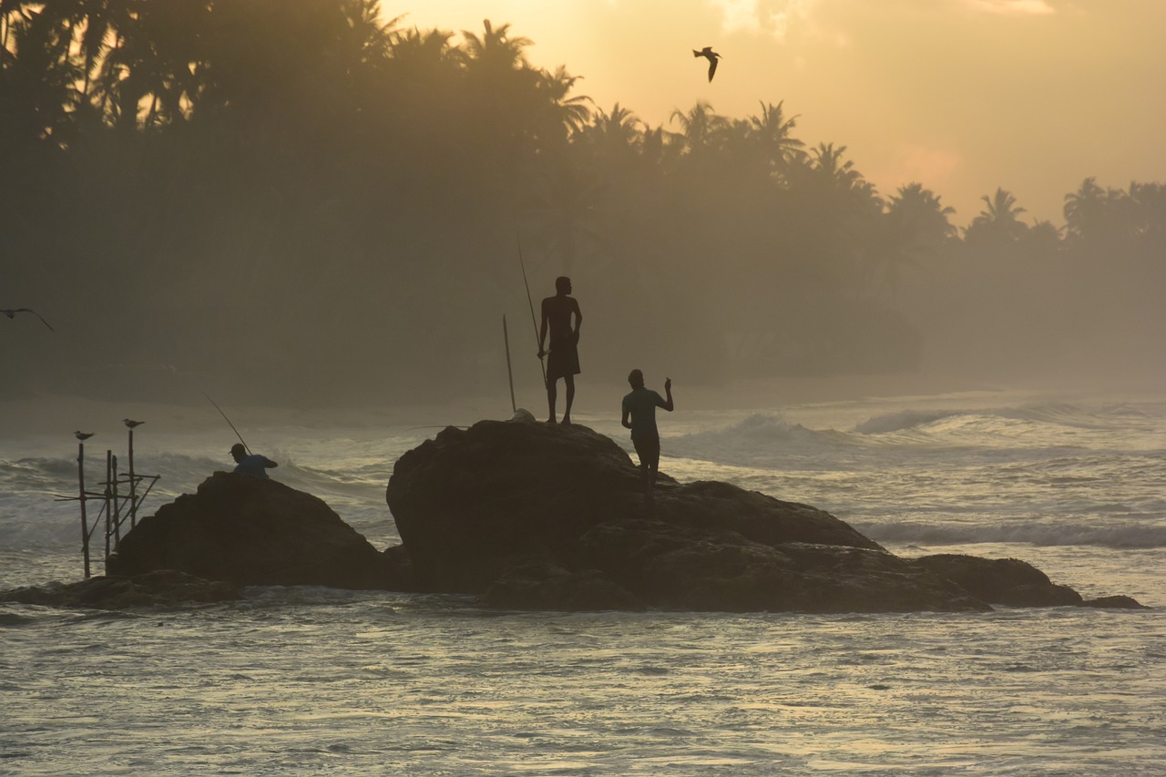 A Taste of Sri Lankan Hoppers - Recipes and Tips